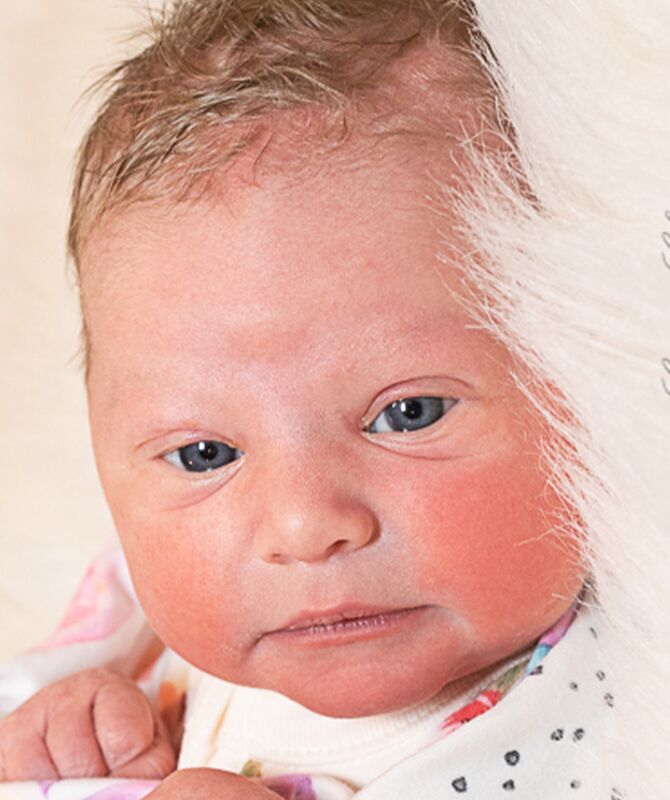 Bexley Olivia Detwiler